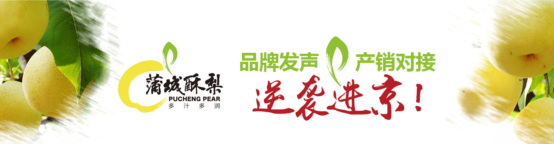 戰(zhàn)略賦能區(qū)域公用品牌，點(diǎn)亮區(qū)域經(jīng)濟(jì)