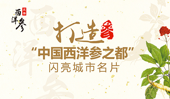 文登西洋參產(chǎn)業(yè)：打造“中國西洋參之都”閃亮城市名片！