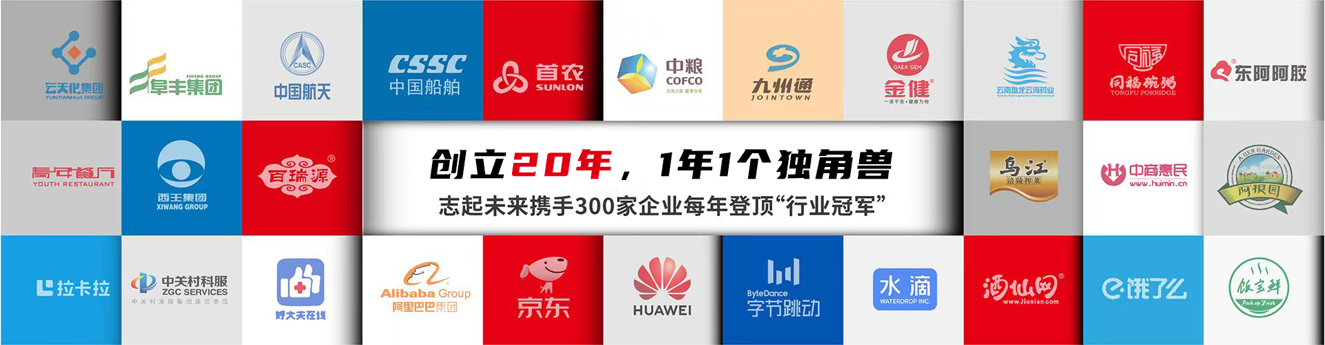 北京志起未來(lái)咨詢(xún)集團(tuán)（簡(jiǎn)稱(chēng)CBCT或志起未來(lái)），成立于2005年，總部位于北京，是一家創(chuàng)新品牌營(yíng)銷(xiāo)策劃公司，入選中國(guó)十大策劃公司，在公司戰(zhàn)略品牌營(yíng)銷(xiāo)、戰(zhàn)略定位、品牌策劃、農(nóng)產(chǎn)品區(qū)域公用品牌等已經(jīng)服務(wù)15年，15年來(lái)致力于企業(yè)、產(chǎn)業(yè)及區(qū)域經(jīng)濟(jì)的發(fā)展研究，為企業(yè)和政府提供決策依據(jù)和資源支持。